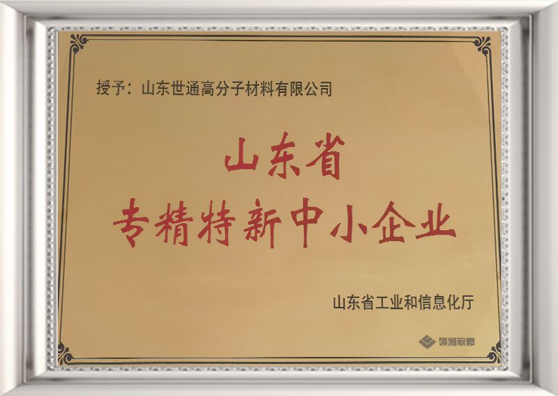 Shandong Province specialized and special new enterprise title