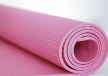 PVC Processing Aids